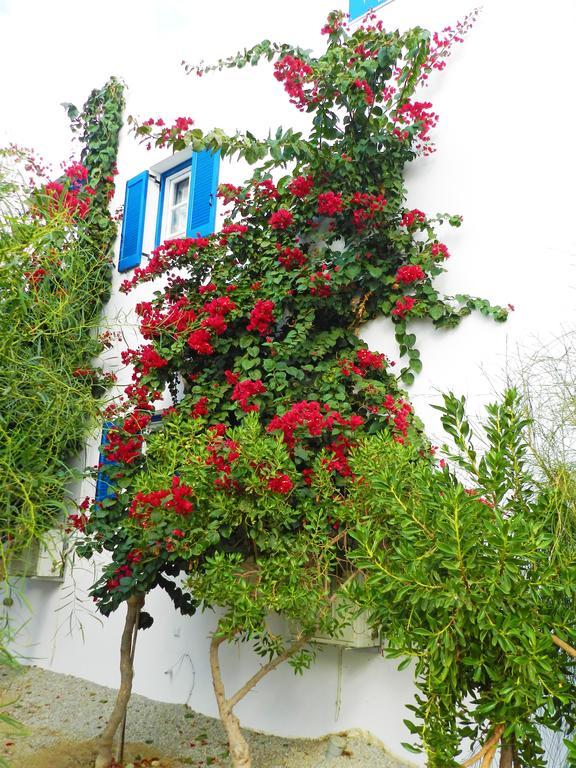 Aggelos Studios Agios Prokopios  Exterior photo